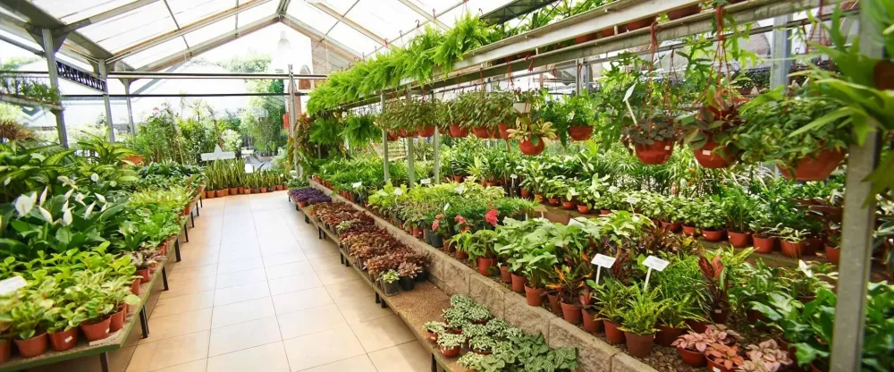 serre-lamouroux-horticulture