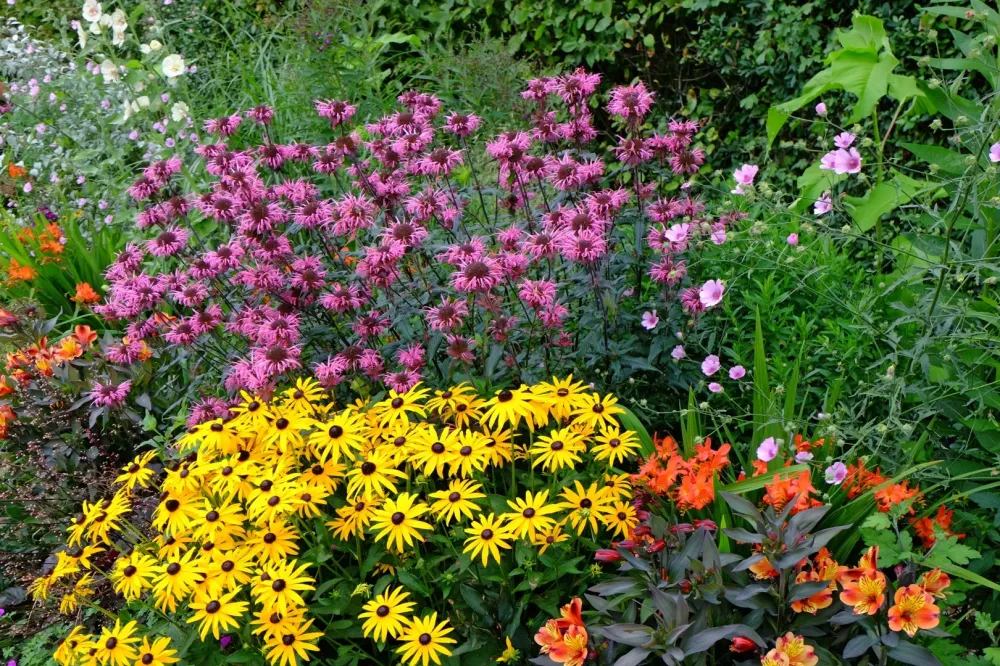 Plantes à massif près de Assier